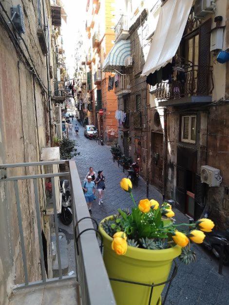 Апартаменты La Conchiglia Napoli Экстерьер фото